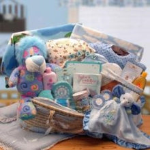 Load image into Gallery viewer, Precious Baby Deluxe &quot;Moses&quot; Carrier Gift Basket
